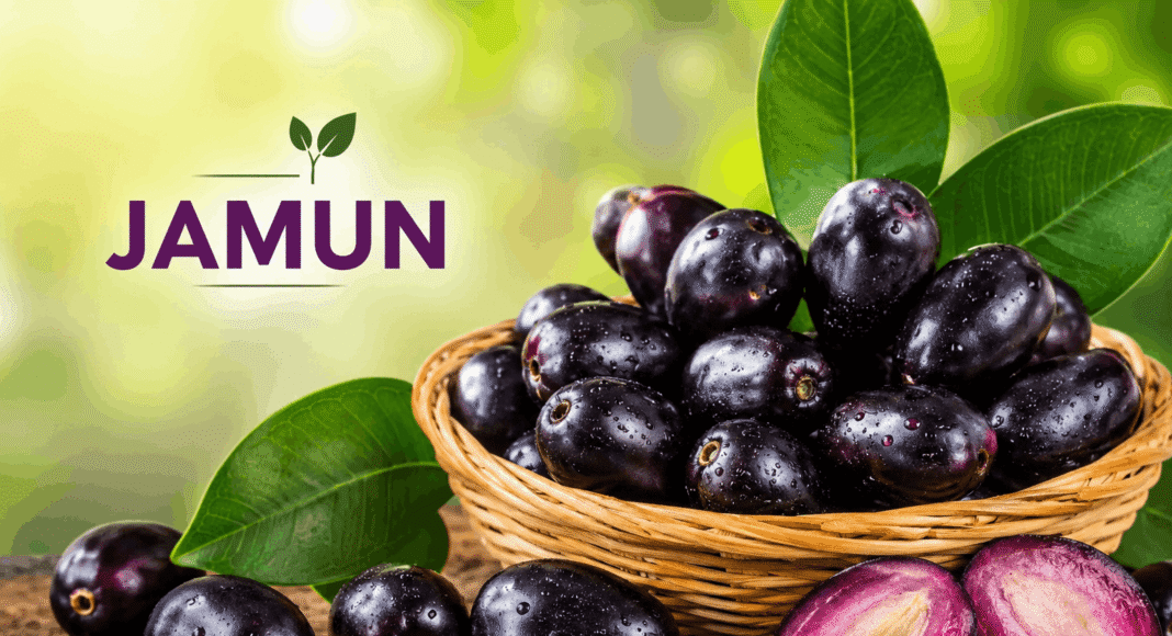 Benefits of Jamun – Purple Superfruit Rich in Nutrients