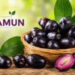 Benefits of Jamun: 10 Amazing Health Benefits of This Purple Powerhouse Benefits of Jamun – Purple Superfruit Rich in Nutrients