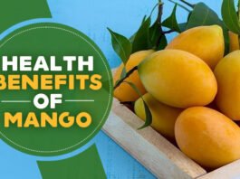 Why You should add Mango in your Diet?