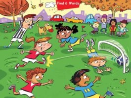 Brain Teaser Spot 6 Hidden Words in the picture