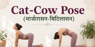 Can Cat-Cow Pose (Marjaryasana-Bitilasana) Support Fertility? Benefits, Steps & Precautions Woman practising Cat-Cow Pose (Marjaryasana-Bitilasana) for fertility, spinal flexibility, and relaxation.